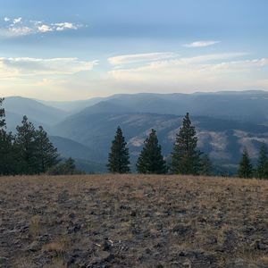 Meet your Posher, Coleman